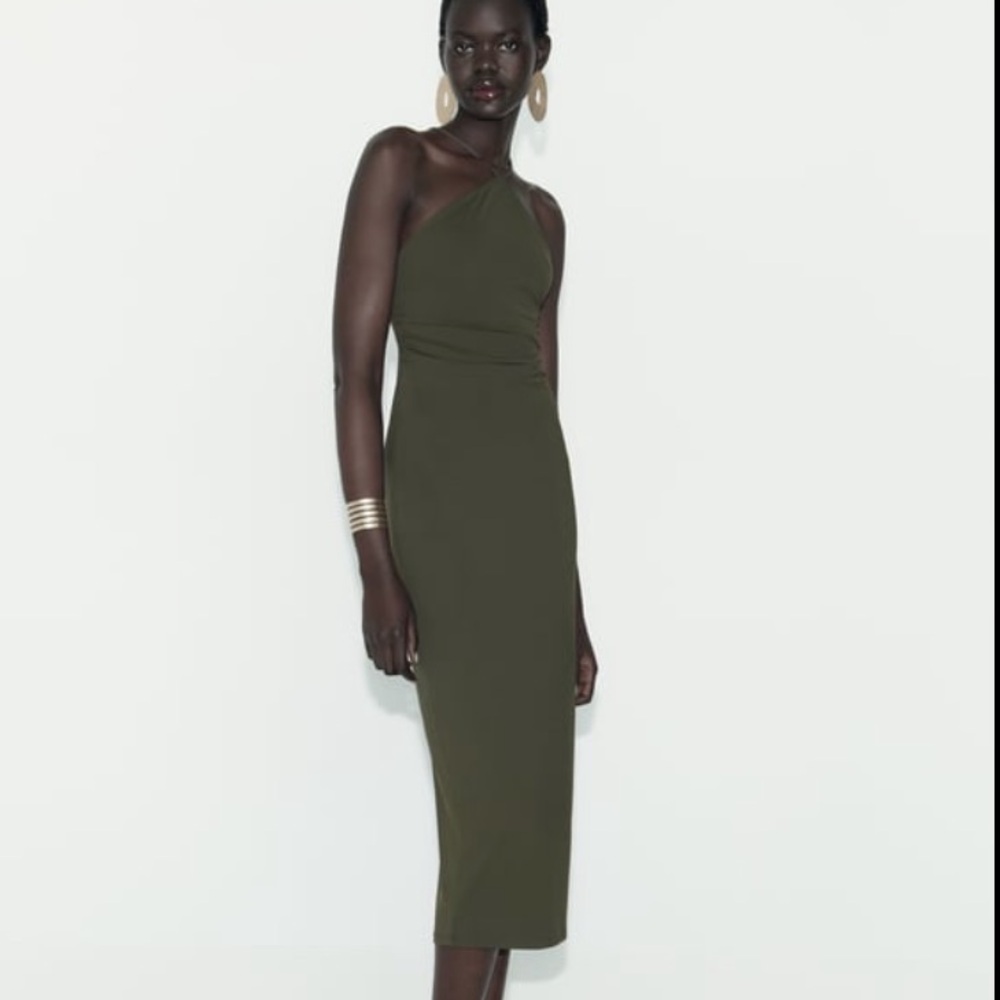 Zara Fitted High neck  midi dress
